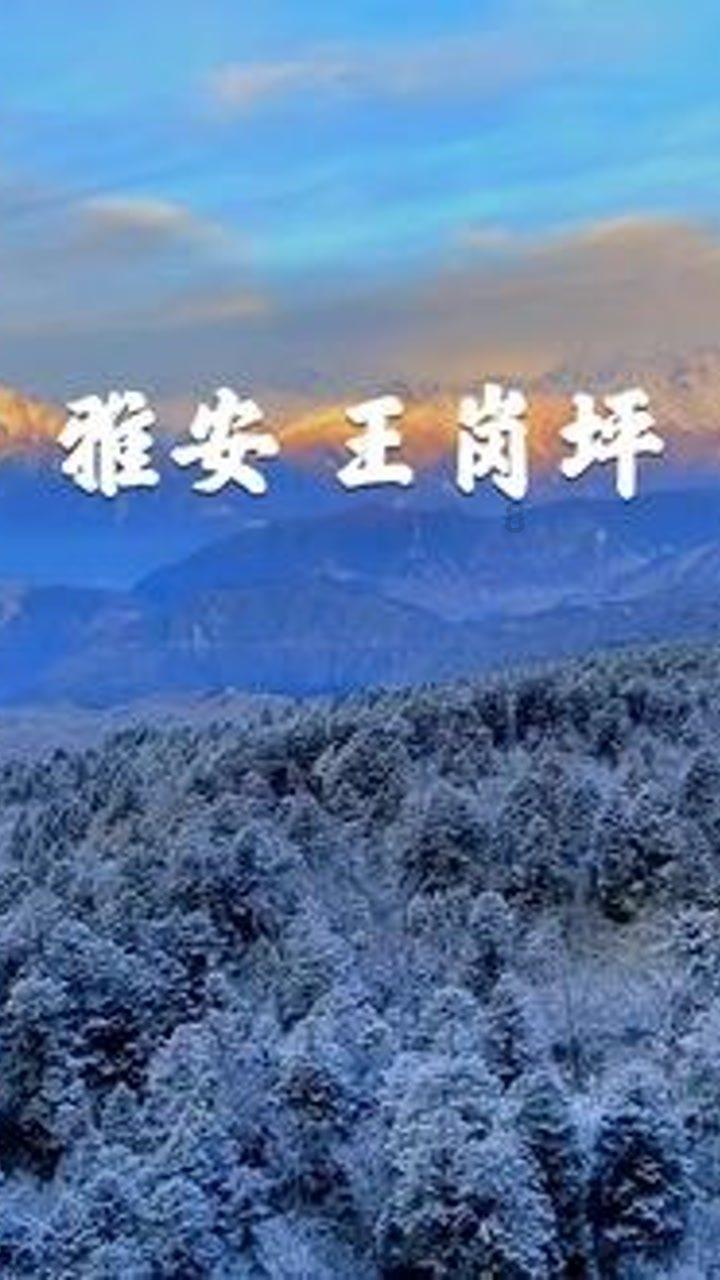 世界上最大岛屿