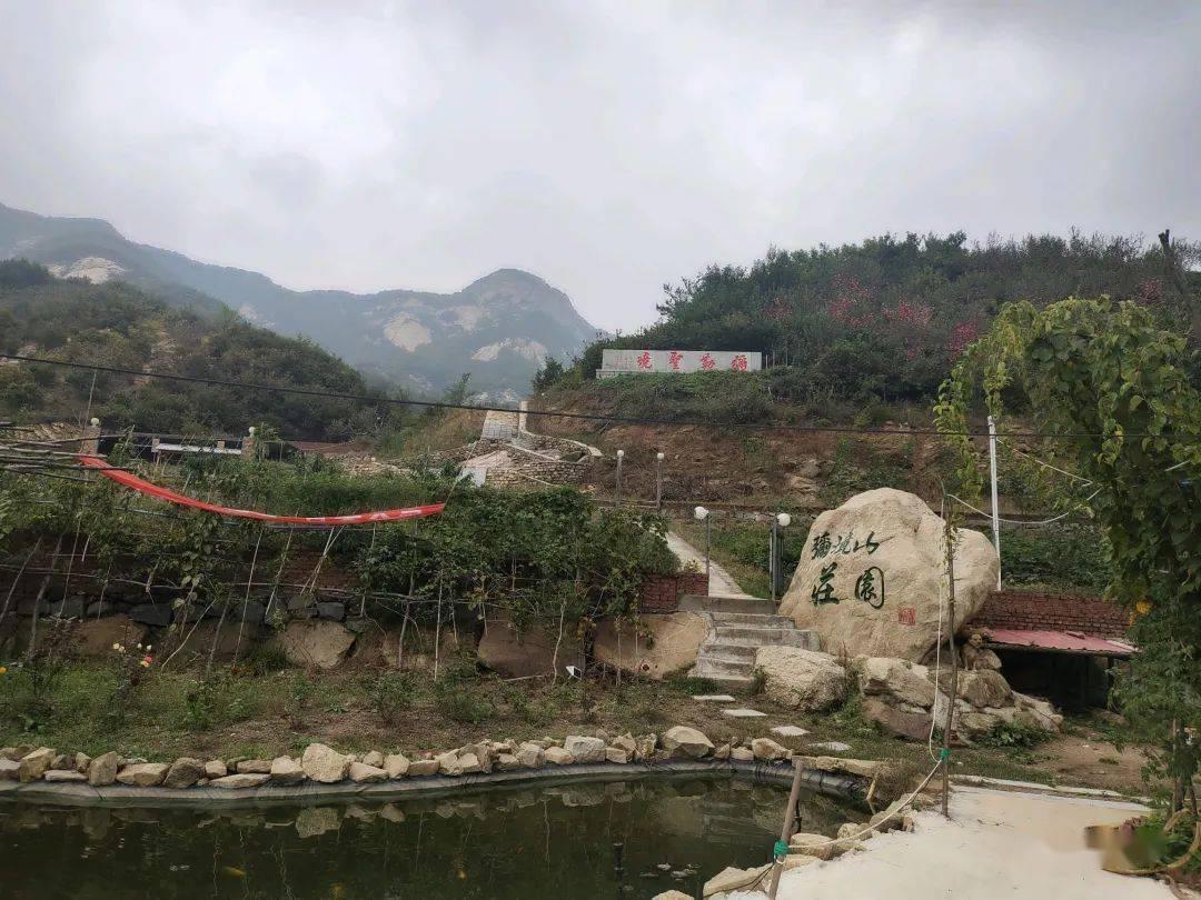 梦想引领未来与赵丽颖穿皮裤被赞身材好,为什么邓紫棋穿皮裤却屡屡翻车?一起探讨的吉鹿力问答社区